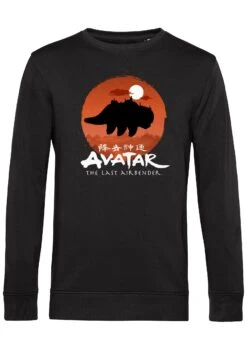 Henry Tiger Avatar: The Last Airbender Team Avatar Haunt - Sweater - Black -Henry Tiger 361a7e3fa3944bc98ce8220b54c3af7e