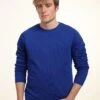 Henry Tiger Organic Crewneck - Sweater - Royal Blue