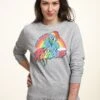 Henry Tiger My Little Pony Rainbow - Sweater - Heather Grey